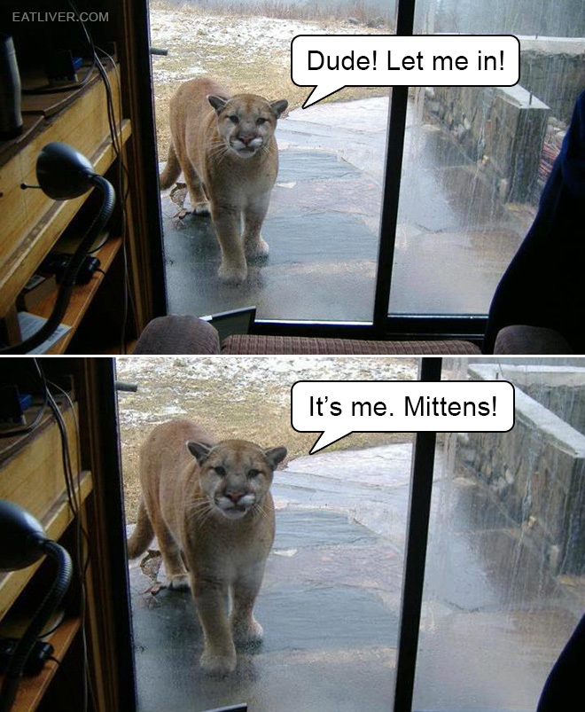 Dude... Let me in!