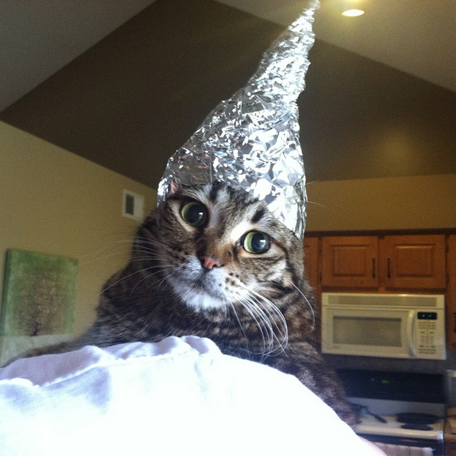 Tin foil hat protects from mind control!