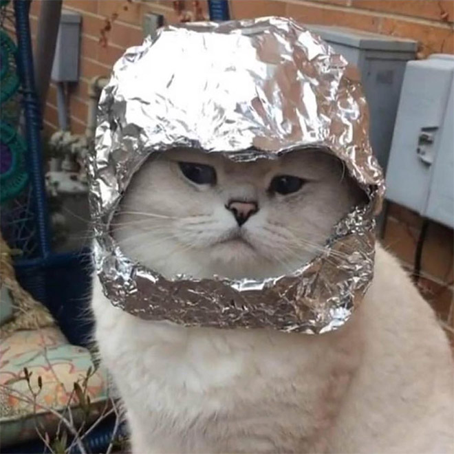 Tin foil hat protects from mind control!