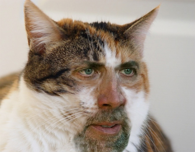 When Nicolas Cage meets Photoshop...