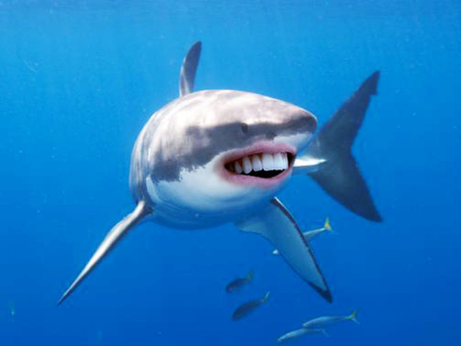 Sharks with human teeth look awesome!