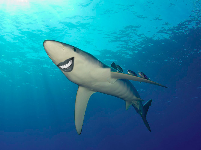 Sharks with human teeth look awesome!