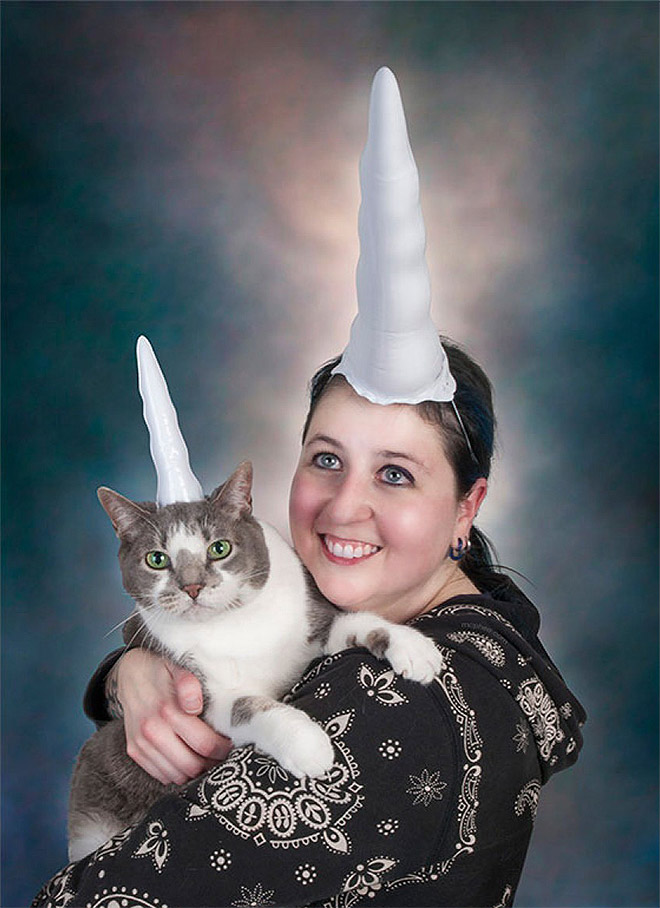 Inflatable unicorn hor for cats.