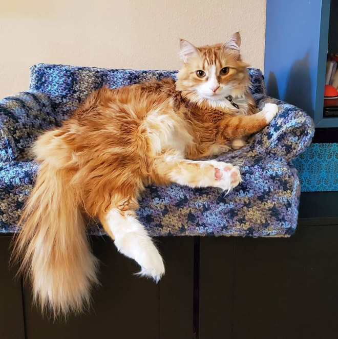 Crocheted kitty couch.