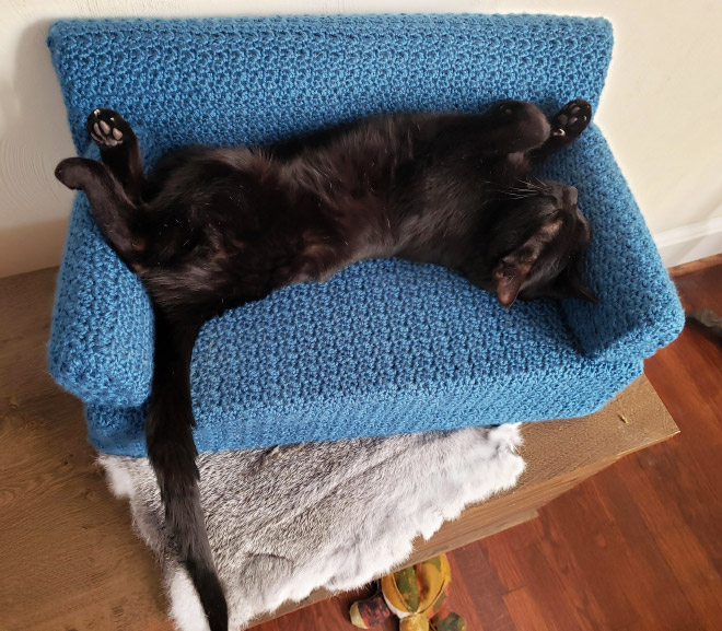 Crocheted kitty couch.