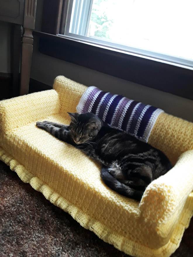 Crocheted kitty couch.