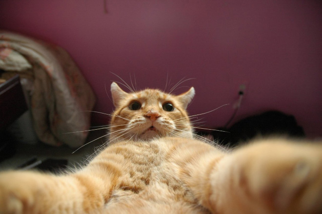Laptop camera selfie.
