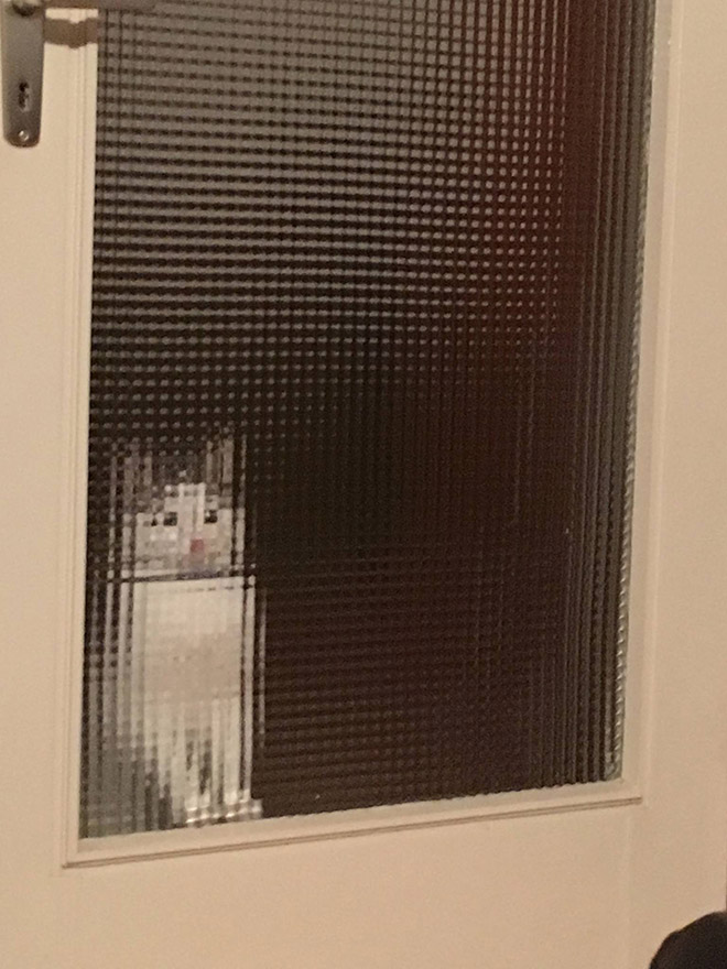 8-bit low resolution pixelated cat.