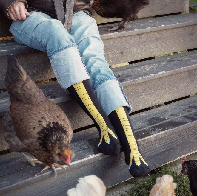 Funny chicken leg socks.