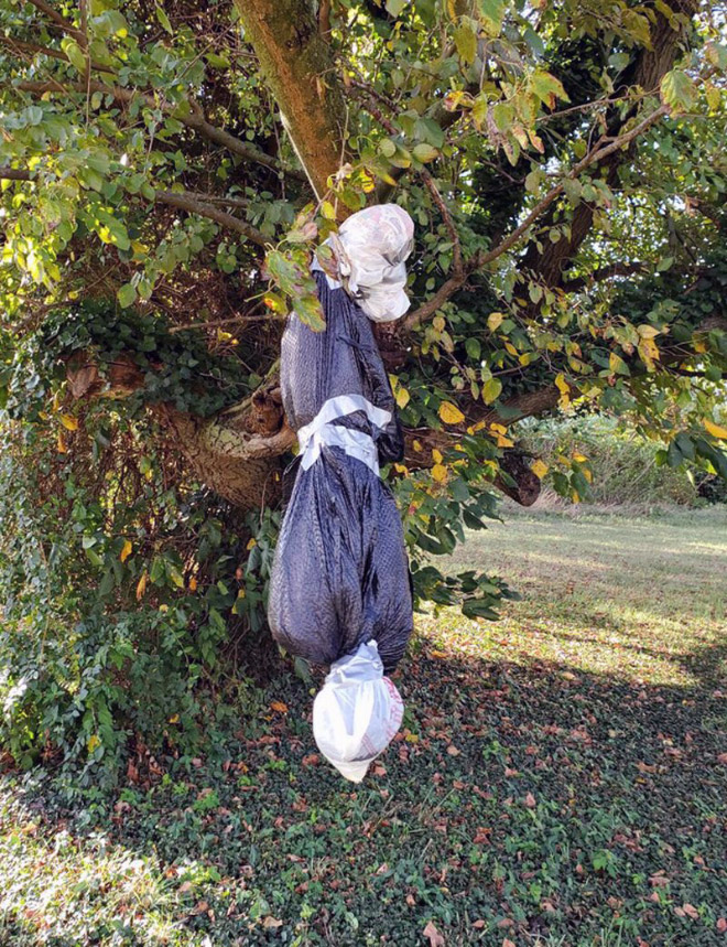 Sometimes people go too far with Halloween decorations.