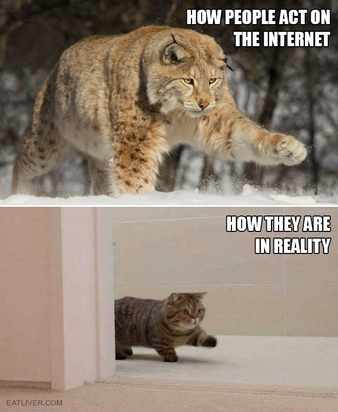 How people act online vs. how people act in real life.