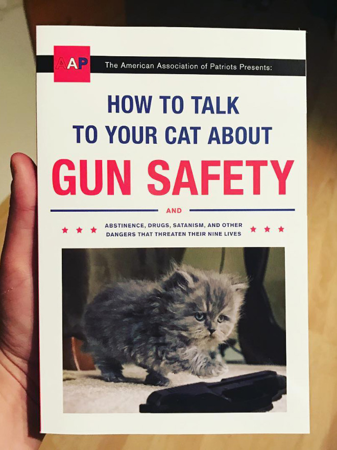 "How To Talk To Your Cat About Gun Safety" by Zachary Auburn