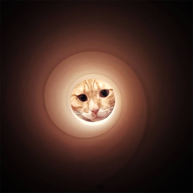 Toilet paper roll Moon photo.