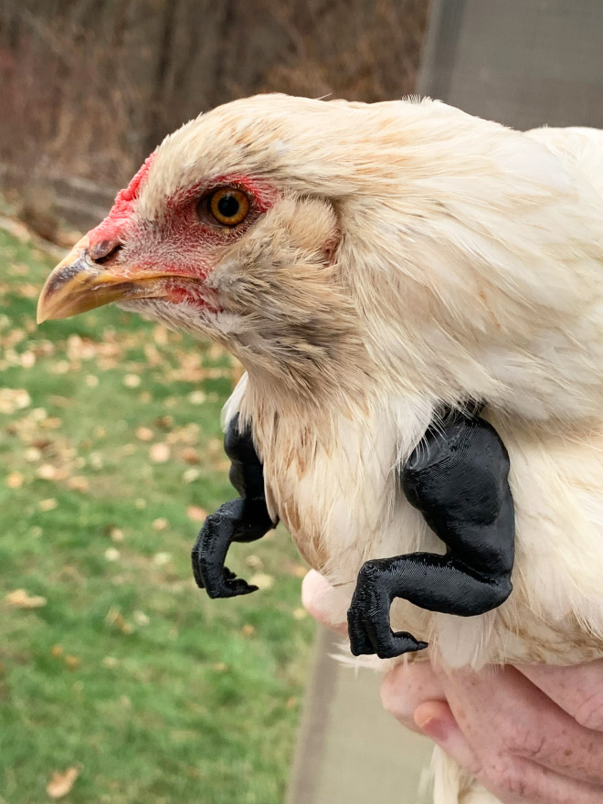 3D printed T-Rex chicken arms.