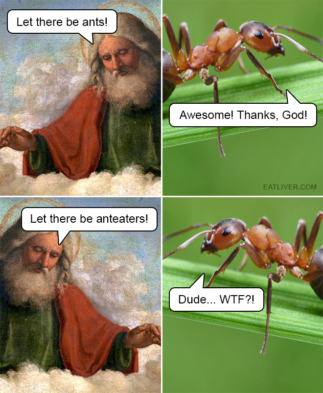 God was so cruel to ants... Seriously, not cool. Imagine if God created humaneaters!