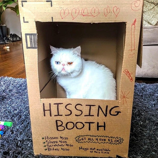 A perfect booth for this little monster.
