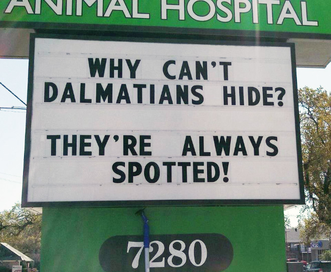 Brilliant vet sign.