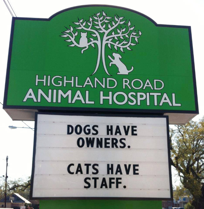 Brilliant vet sign.