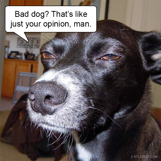 Bad dog? That’s like just your opinion, man.