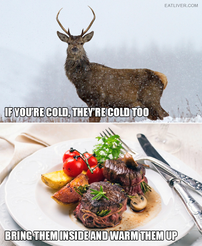 If you're cold, they're cold too. Bring them inside and warm them up.