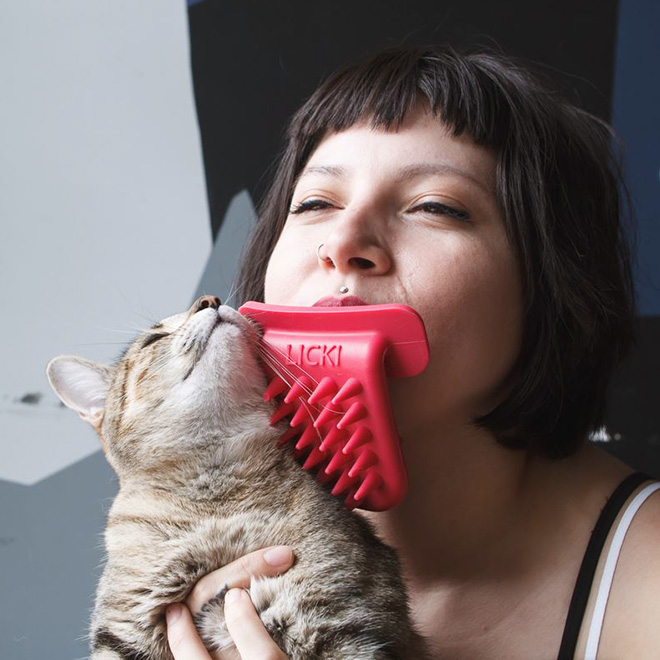 Weird brush for licking your cat.