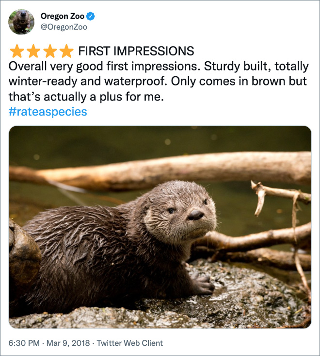 Amazon-style animal review.