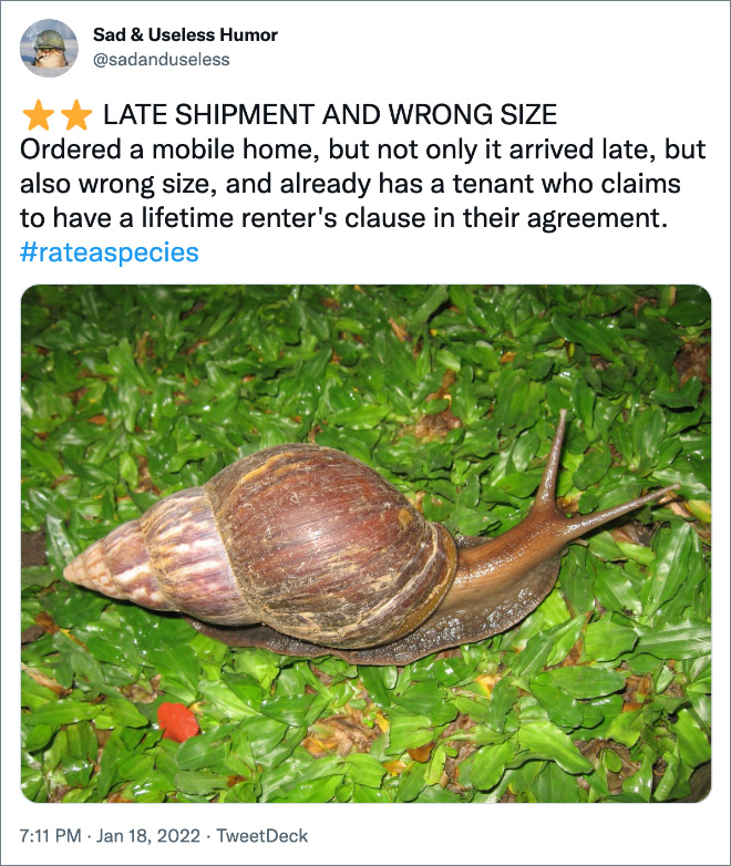 Amazon-style animal review.