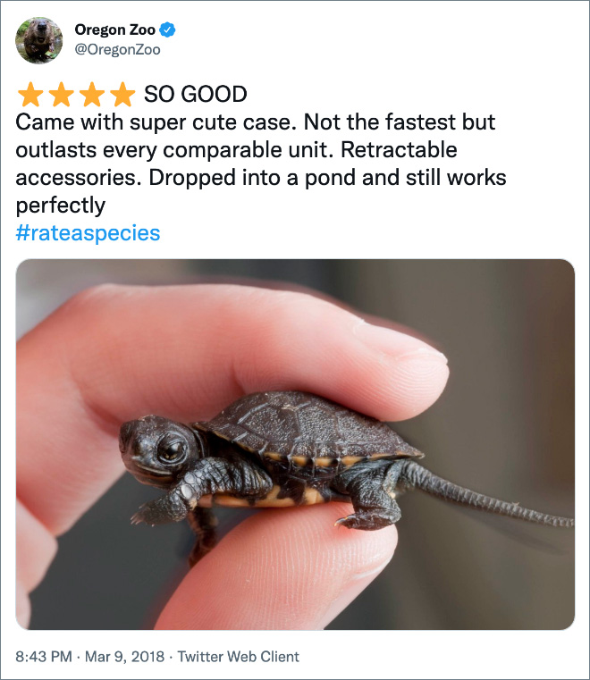 Amazon-style animal review.