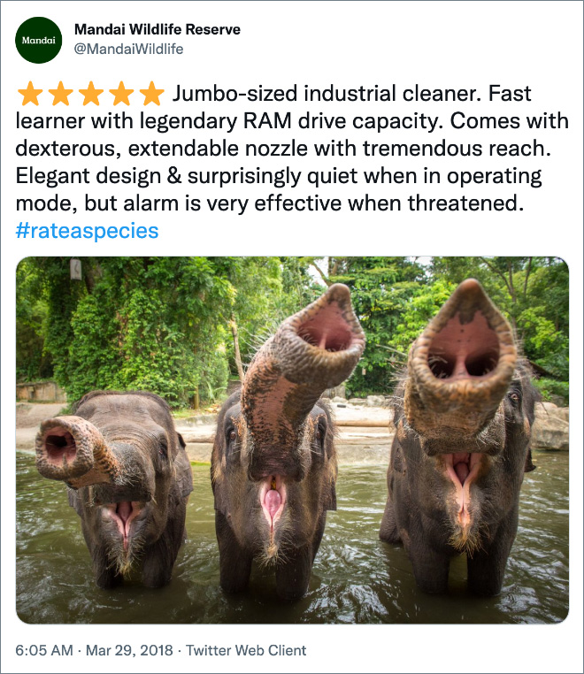 Amazon-style animal review.