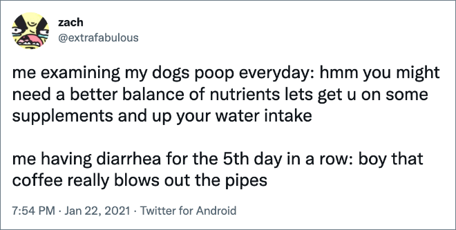 Funny tweet about dogs.