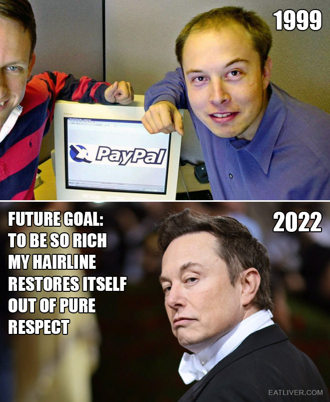 My future goal: to be so rich my hairline restores itself out of pure respect. Just like it happened to Elon Musk since he was at PayPal in 1999.