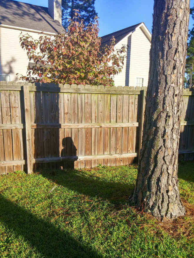 Some kids are terrible at Hide-And-Seek.