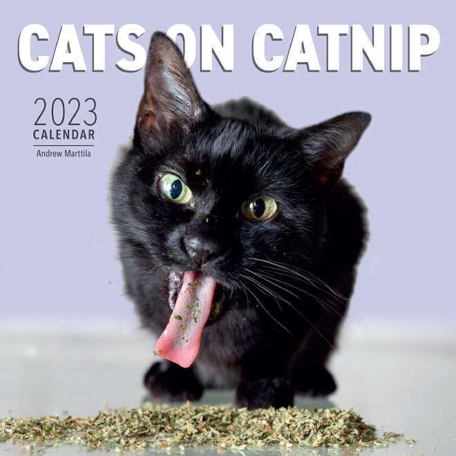 Cats On Catnip 2023 calendar.