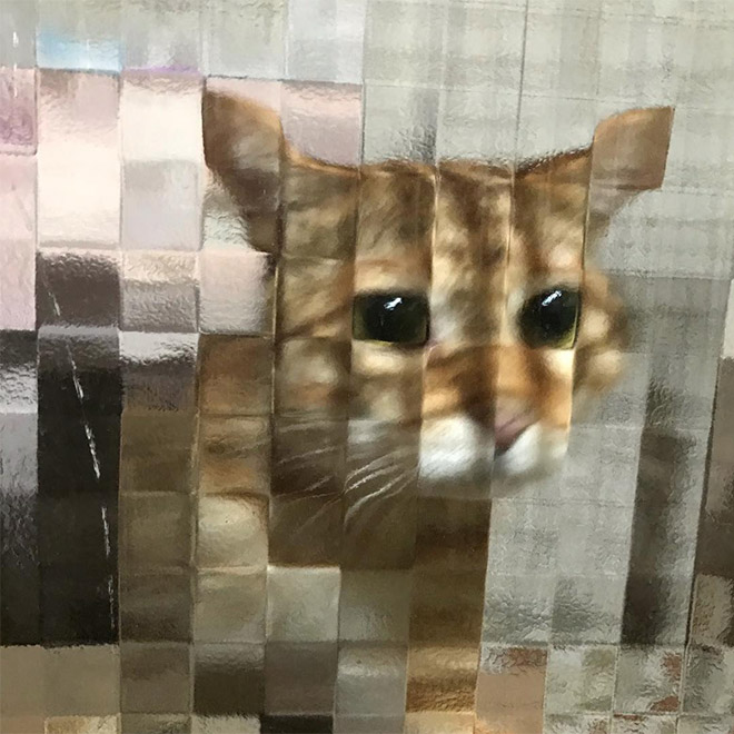 Pixelated pets are the best pets.