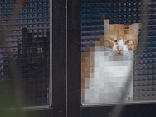 Pixelated pets are the best pets.