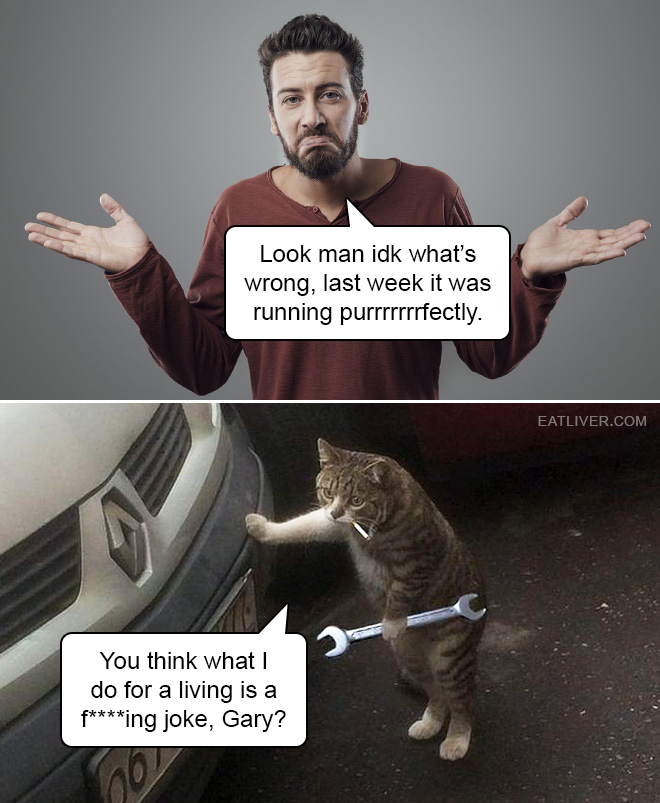 Look man idk what's wrong, last week it was running purrrrrrrfectly. You think what I do for a living is a f****ing joke, Gary?