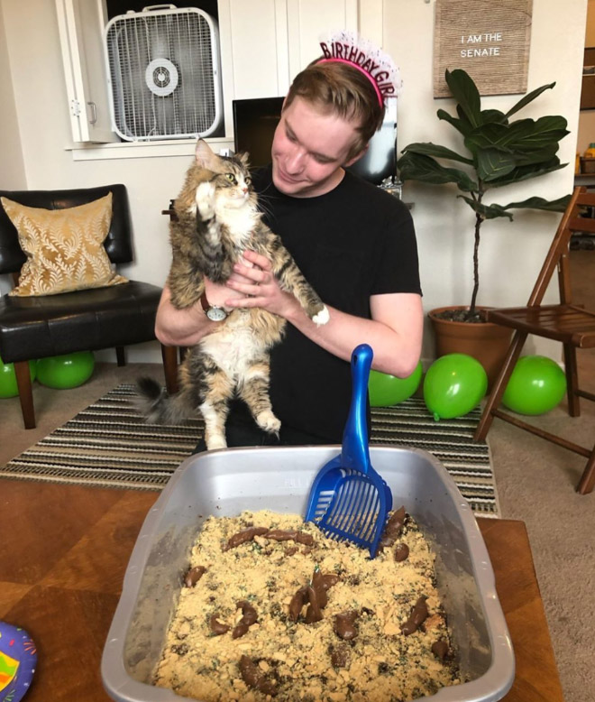 Kitty litter cake.