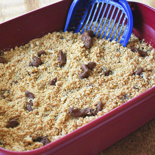 Kitty litter cake.