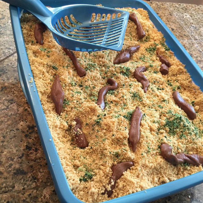 Kitty litter cake.