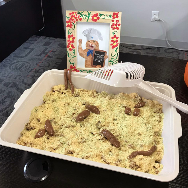 Kitty litter cake.