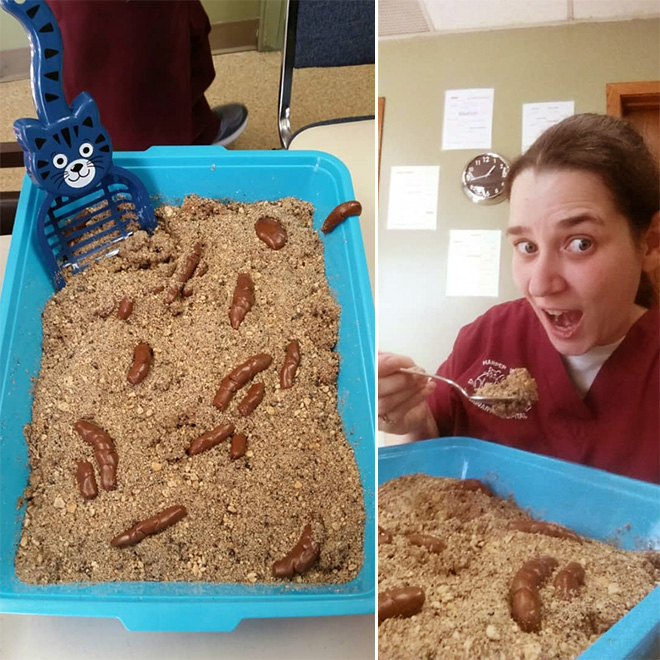 Kitty litter cake.