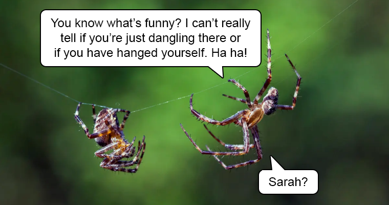 Spiders: A Heartbreaking Story In Two Panels