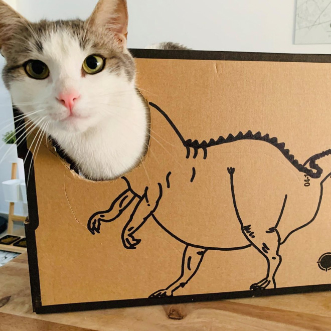 How to turn your ordinary cat into a dinosaur...