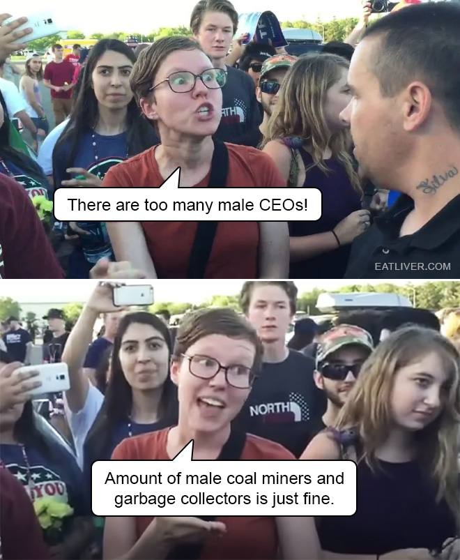 There are too many male CEOs! Amount of male coal miners and garbage collectors is just fine.