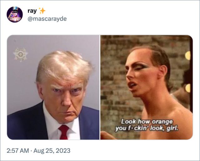 These Trump Mugshot Memes Are Hilarious - CamTrader