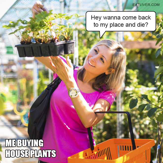 Choosing and buying house plants is not as simple and straightforward as it may seem at first. Correct soil, regular watering and the right amount of light - that's all important, however the main thing you have to do - talk to your plants. Don't sugarcoat it either - just tell them the truth.