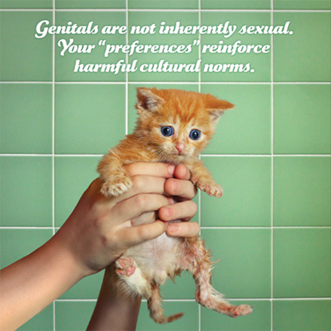 Social justice kitten has something to say to you.