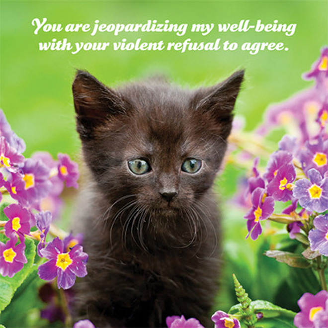 Social justice kitten has something to say to you.
