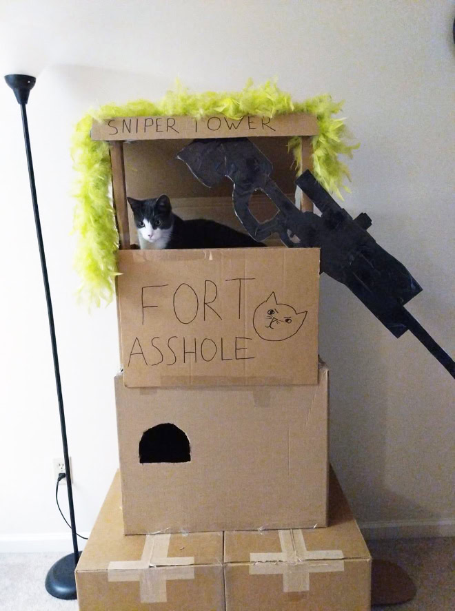 Fort a-hole.