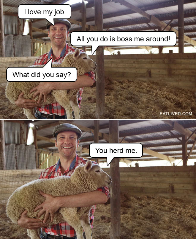 Sheep puns are the best.